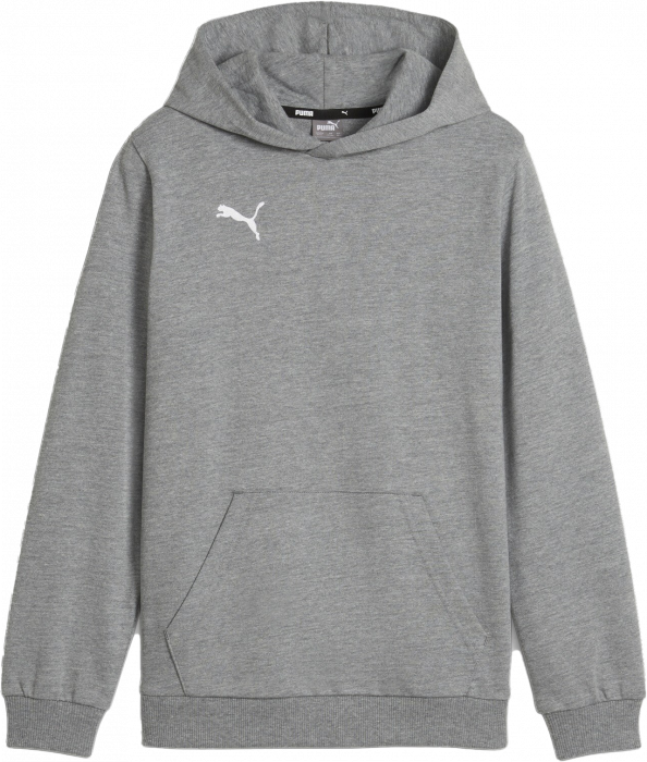 Puma - Teamgoal Casual Hoodie Kids - Grey Heather & biały